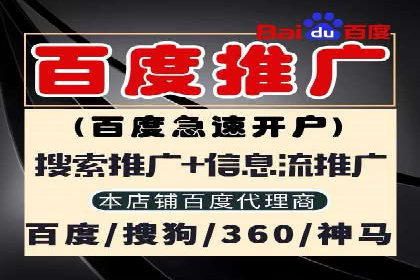SEM代理操作技巧：成功案例揭秘